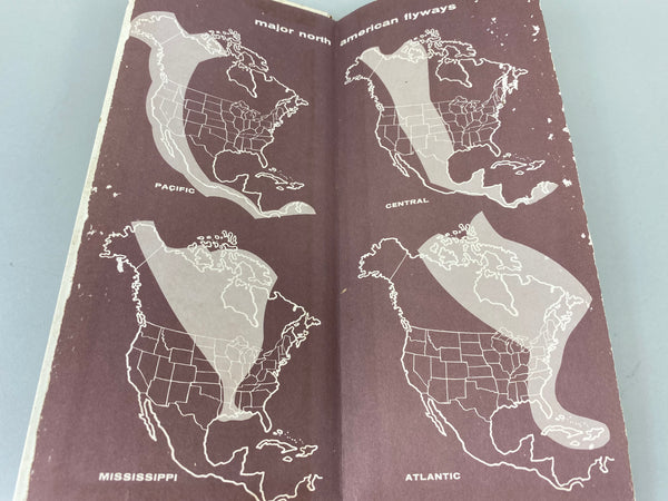 Lot of 4 Books for Carving and Painting Decoys as well as an Index to Waterfowl