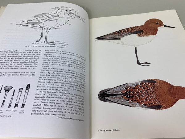 Lot of 4 Books for Carving and Painting Decoys as well as an Index to Waterfowl