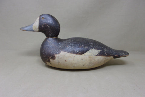 Mason Hen Blue Bill, All Original (#5015)