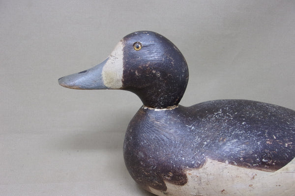 Mason Hen Blue Bill, All Original (#5015)