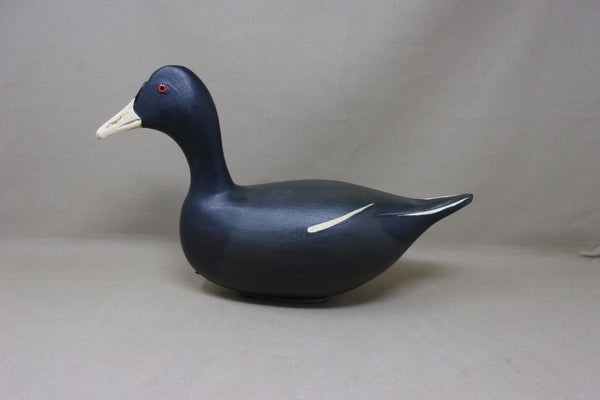 Jim Slack, High Headed Coot (#5042)