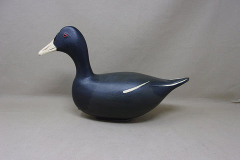 Jim Slack, High Headed Coot (#5042)