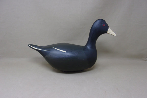 Jim Slack, High Headed Coot (#5042)