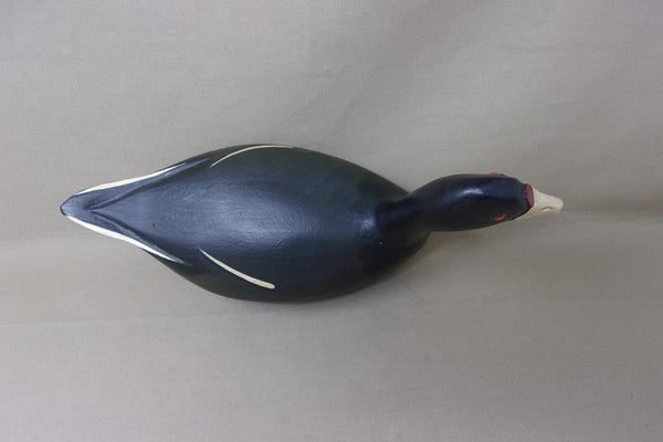 Jim Slack, High Headed Coot (#5042)