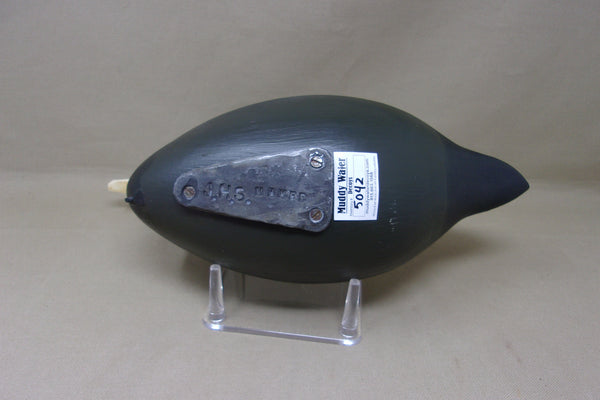 Jim Slack, High Headed Coot (#5042)