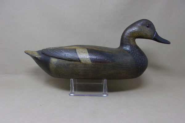 Perdew Style Gadwall, Tony Zullo (#5059)