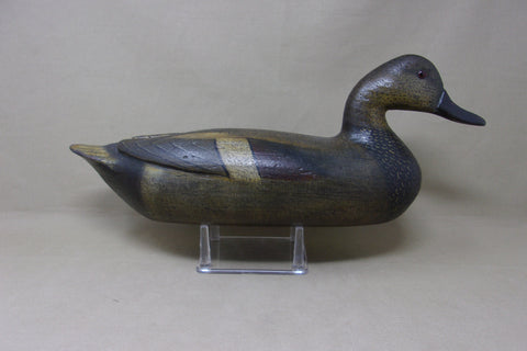 Perdew Style Gadwall, Tony Zullo (#5059)
