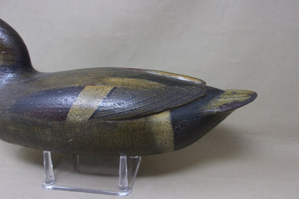 Perdew Style Gadwall, Tony Zullo (#5059)