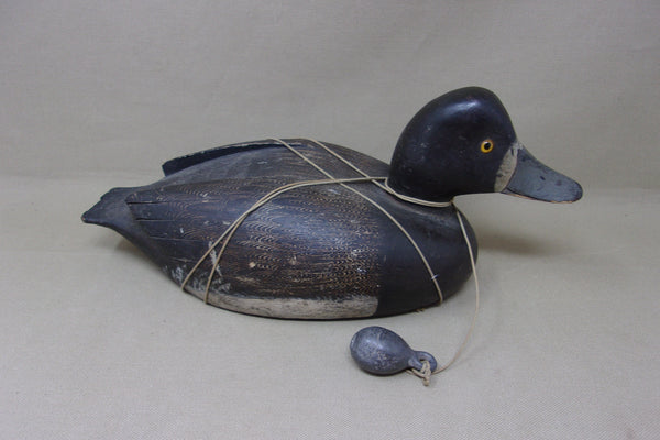 Bob May Blue Bill Hen, Ontario (#5071)