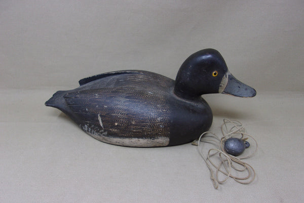 Bob May Blue Bill Hen, Ontario (#5071)