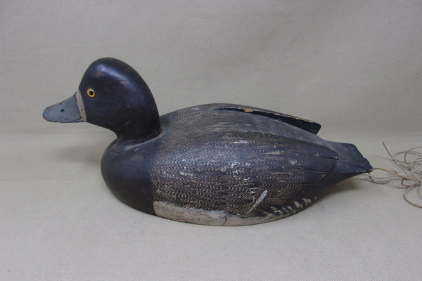 Bob May Blue Bill Hen, Ontario (#5071)