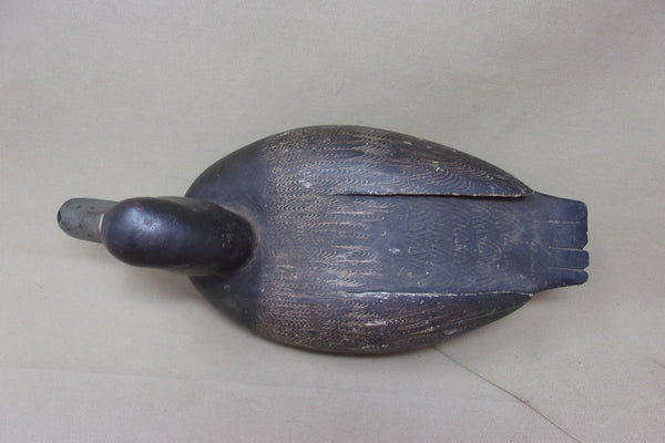 Bob May Blue Bill Hen, Ontario (#5071)