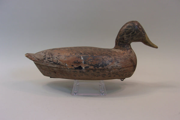 Roy Hancock Mallard Hen (#5096)