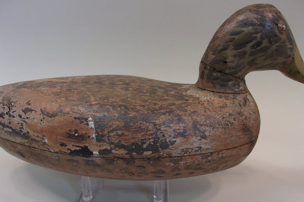 Roy Hancock Mallard Hen (#5096)