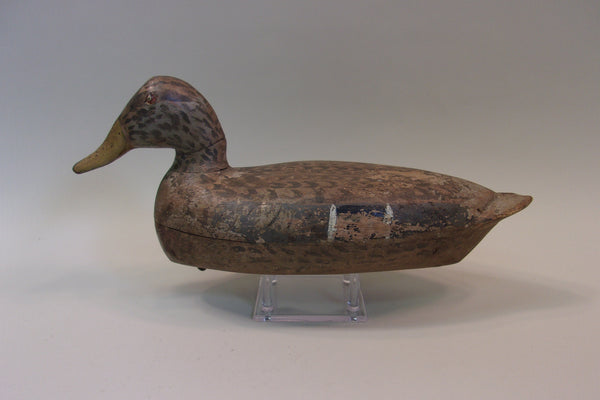 Roy Hancock Mallard Hen (#5096)