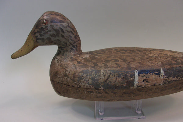 Roy Hancock Mallard Hen (#5096)