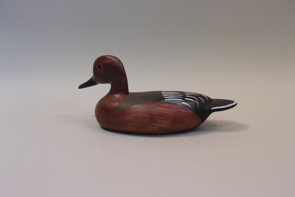 Wilfred Bush Cinnamon Teal (#5098)