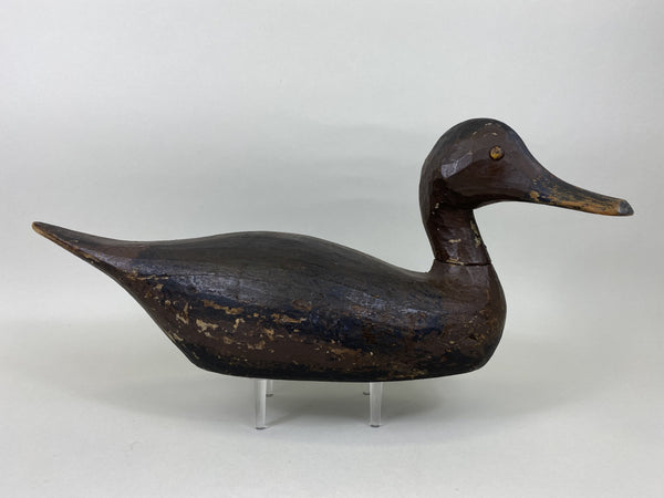 Pintail Hen, Lawrence "Lovey" Fleer, Mississippi River (#5113)