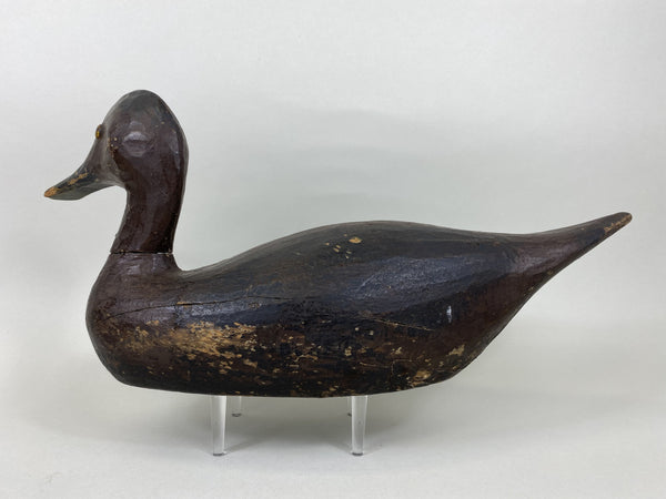 Pintail Hen, Lawrence "Lovey" Fleer, Mississippi River (#5113)