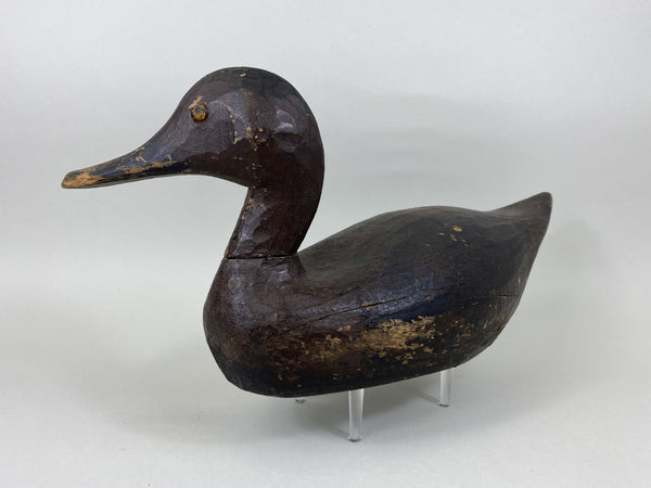 Pintail Hen, Lawrence "Lovey" Fleer, Mississippi River (#5113)