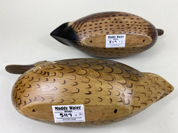 Perdew Style Torry Ward Blue Wing Teal Pair (#5117)