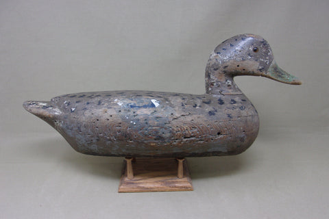 Charles Perdew Mallard Hen with Weight (#5120)
