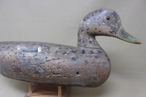 Charles Perdew Mallard Hen with Weight (#5120)