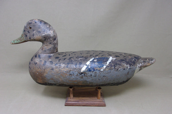 Charles Perdew Mallard Hen with Weight (#5120)