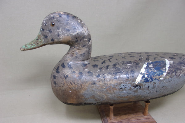 Charles Perdew Mallard Hen with Weight (#5120)