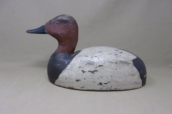 Michigan Canvasback Drake (#5152)