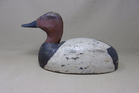 Michigan Canvasback Drake (#5152)
