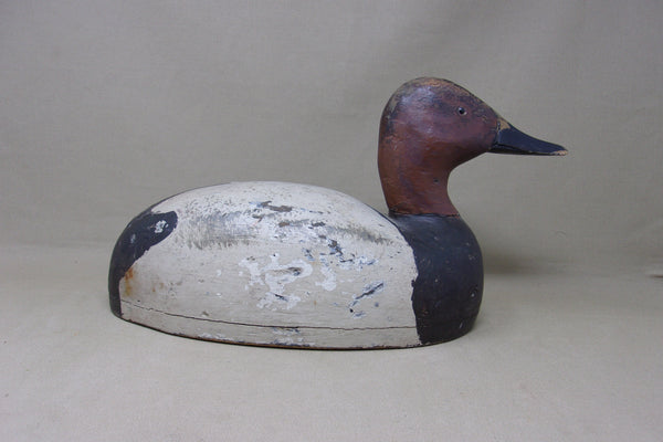 Michigan Canvasback Drake (#5152)