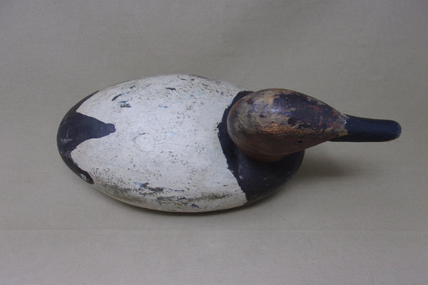 Michigan Canvasback Drake (#5152)