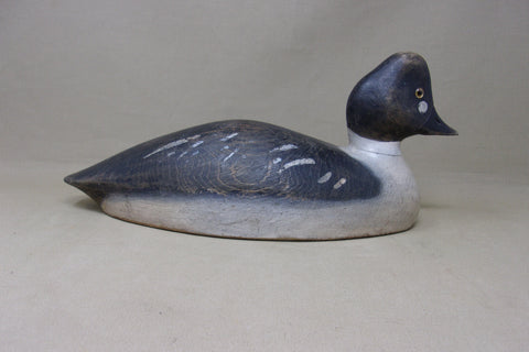 Alexandria Bay Golden Eye (#5153)