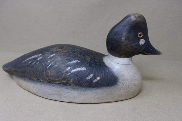 Alexandria Bay Golden Eye (#5153)