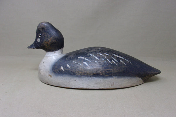 Alexandria Bay Golden Eye (#5153)