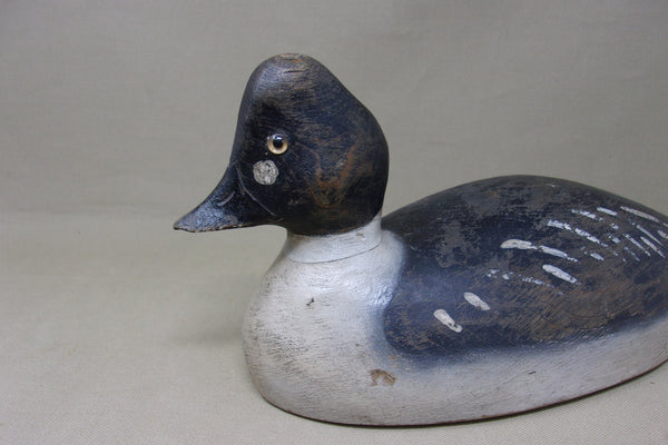 Alexandria Bay Golden Eye (#5153)