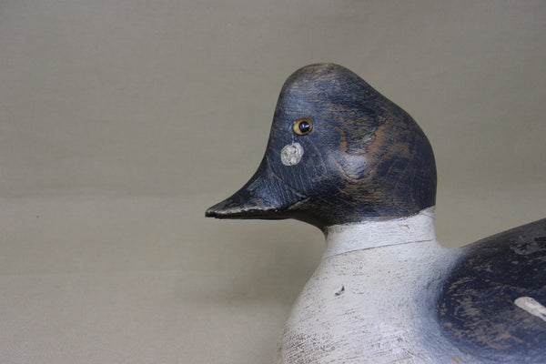 Alexandria Bay Golden Eye (#5153)