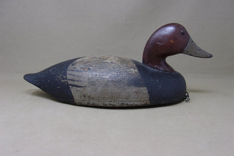 Budgeon Sampier RedHead Drake (#5158)