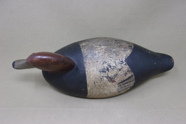 Budgeon Sampier RedHead Drake (#5158)