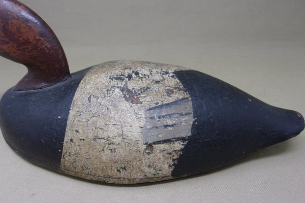 Budgeon Sampier RedHead Drake (#5158)