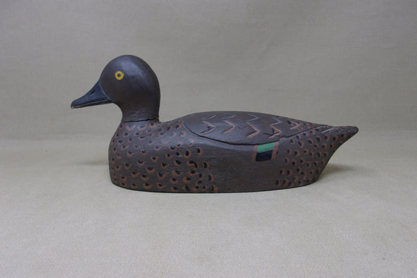 Canadian Green Wing Teal Hen (#5162)