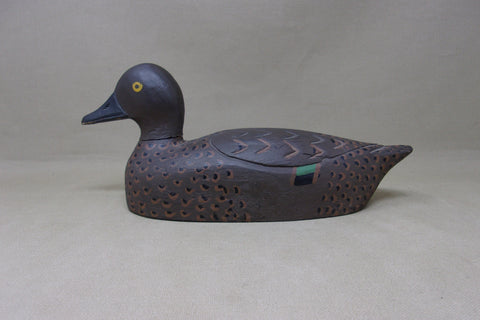 Canadian Green Wing Teal Hen (#5162)