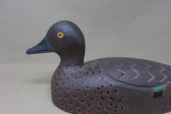 Canadian Green Wing Teal Hen (#5162)