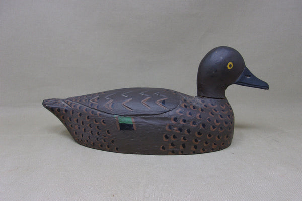 Canadian Green Wing Teal Hen (#5162)