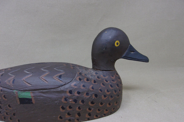 Canadian Green Wing Teal Hen (#5162)