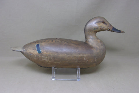 Henry Ruggles Mallard Hen, Hard to Find (#5165)