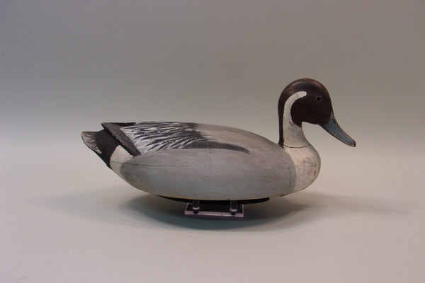 James Mense Pintail, Traverse City (#5176)