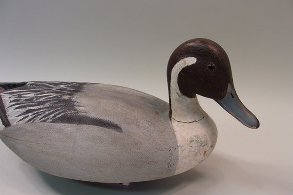 James Mense Pintail, Traverse City (#5176)