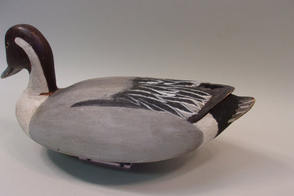 James Mense Pintail, Traverse City (#5176)